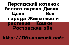 Персидский котенок белого окраса Диана › Цена ­ 40 000 - Все города Животные и растения » Кошки   . Ростовская обл.